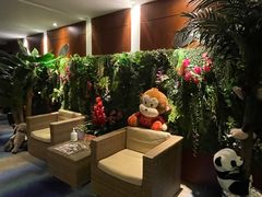 -上海浦东华美达大酒店