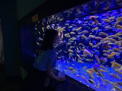 -成都浩海立方海洋公园