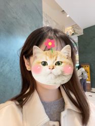 -AI艾耳·专业手工耳洞·穿孔美学馆