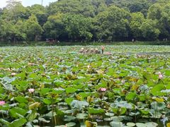 -星湖旅游景区七星岩