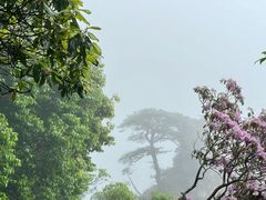 -萍乡武功山风景名胜区