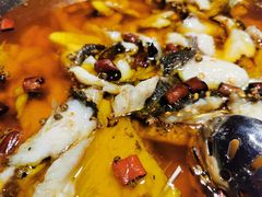 -雲蜀龙阁·金牌水煮鱼(方庄店)