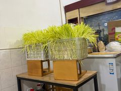 -尤素福东举院饺子馆