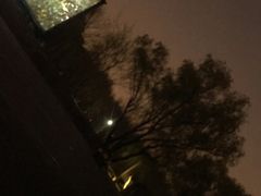 -枫花园汽车电影院(朝阳公园店)
