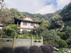 -十八棵（老龙井）御茶园(老龙井店)