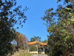 -风云岭森林公园