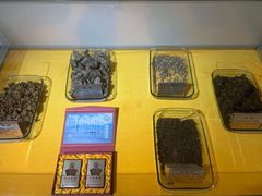 -上海昆虫博物馆