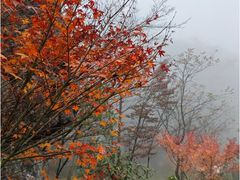 -山王坪喀斯特国家生态公园