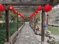 -上海醉白池公园