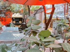 -上合花园花园烧烤(贵阳店)