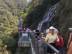 -九龙江国家森林公园