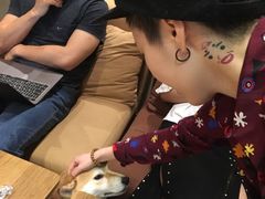 -柴务处·柴犬主题狗咖