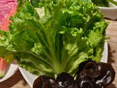 -彤德莱火锅(乐陵路店)