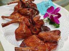 石岐乳鸽-红日饭店(裕隆三路店)