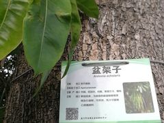 -演武大桥观景平台