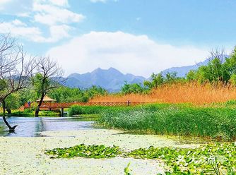 遥看美景彩云间️牛口峪湿地公园️