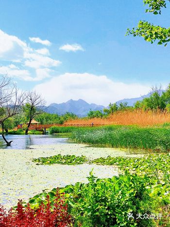 遥看美景彩云间️牛口峪湿地公园️