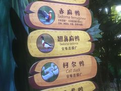 -海合安武汉极地海洋公园