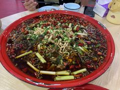 来凤鱼-东吴霸王兔(松青路店)