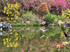 -深圳仙湖植物园