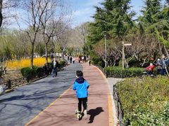 游乐设施-大兴滨河森林公园