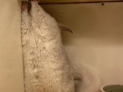 -龙猫仔乐园(惠福东路店)