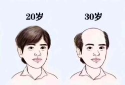 -薇薇安花系SPA