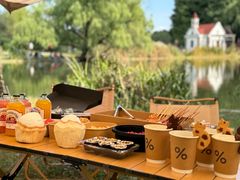 -上海共青森林公园