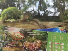 -西双版纳原始森林公园