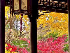 -西园戒幢律寺
