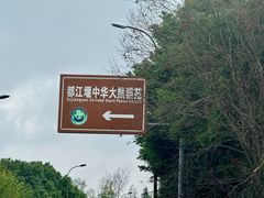 -都江堰中华大熊猫苑