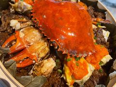 -遇外滩(BFC外滩金融中心店)