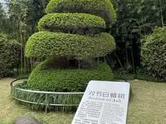 -苏州河梦清园环保主题公园