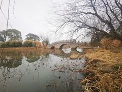 -渤公岛生态公园