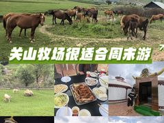 -关山草原