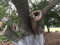 -五娭毑臭豆腐(黄兴南路店)