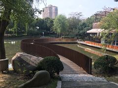 -陈家山荷花公园