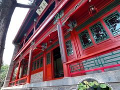 -莲池书院博物馆