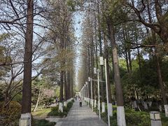 -红梅公园