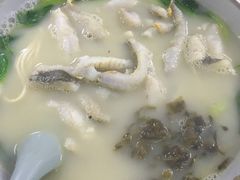 -明呈黄鱼面馆(斜土路店)