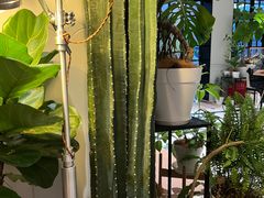 -一尺花园(安和花园店)