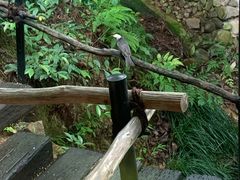 -裸心谷·裸心味餐厅