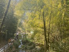 -藏龙百瀑风景区