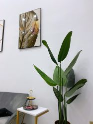 -久匠半永久纹眉