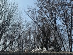 -祥源·阜阳生态乐园