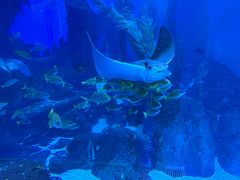 -波塞冬旅游度假区