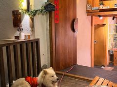 -大冰的小屋