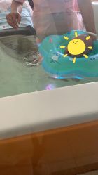 -喜月来月子会所