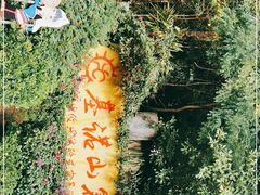 -西双版纳基诺山寨