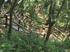 -大岭沟猕猴桃谷风景区
